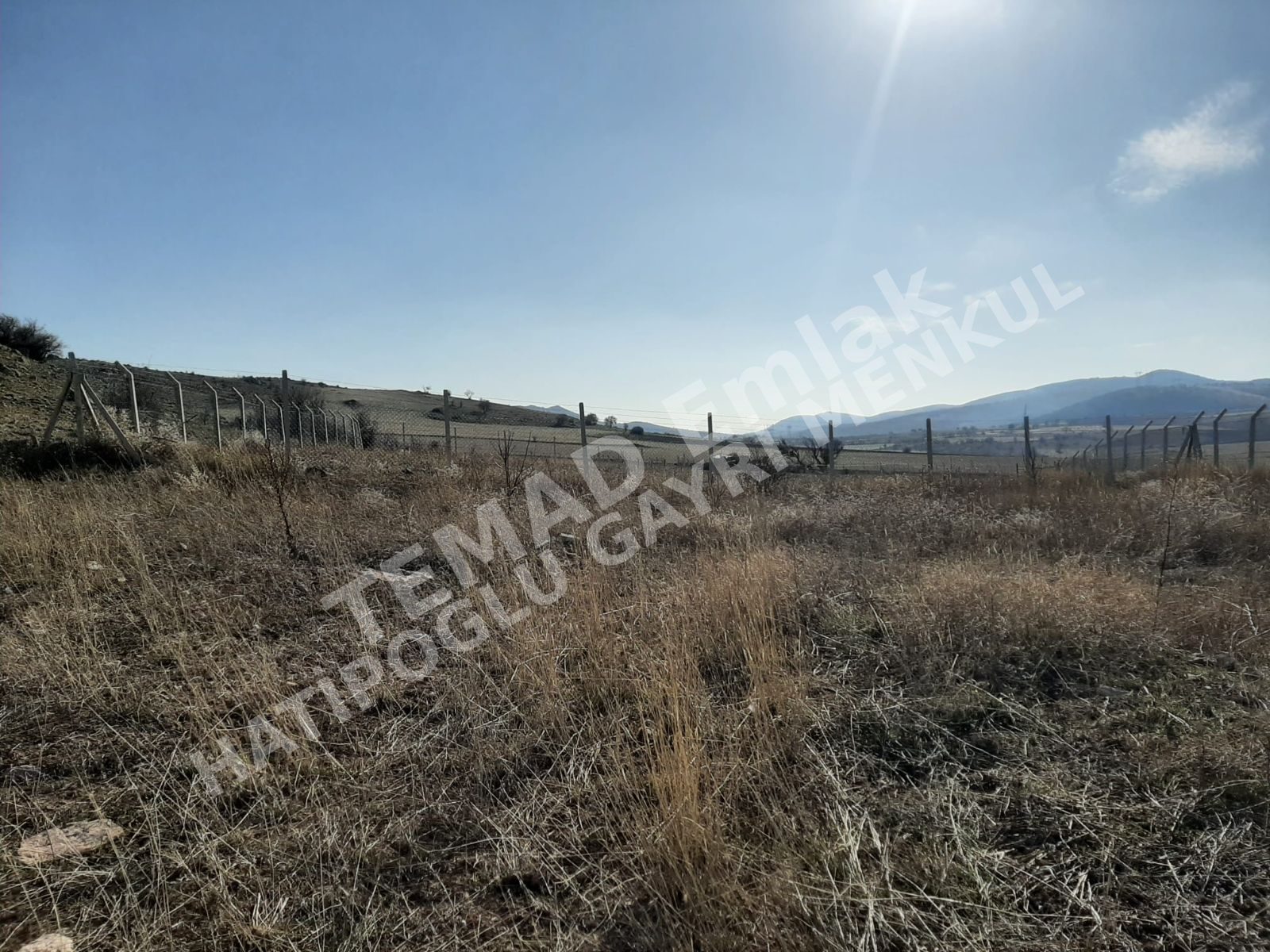 Fotoğraf
