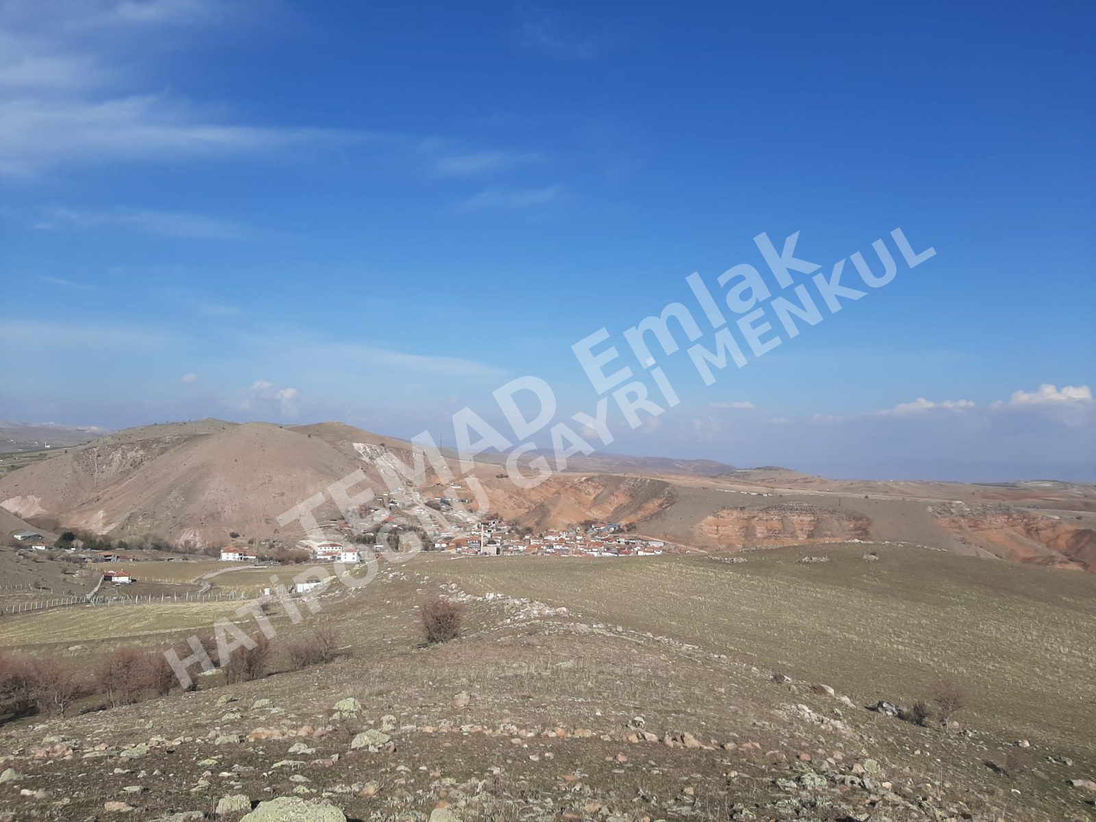 Fotoğraf