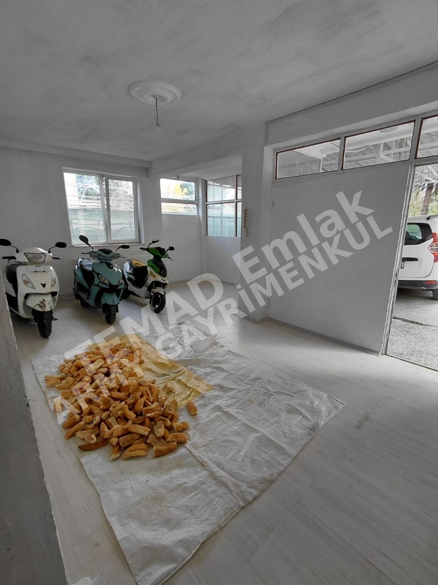 Fotoğraf