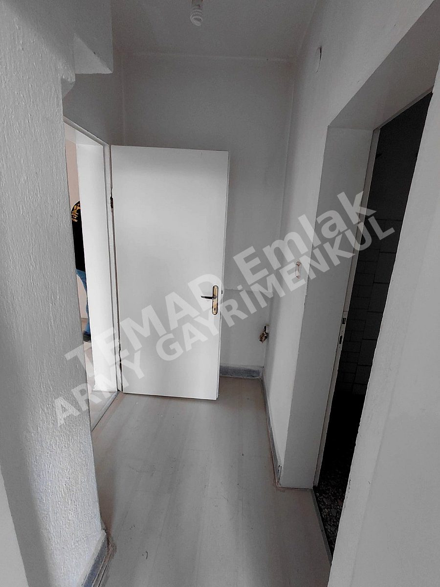 Fotoğraf