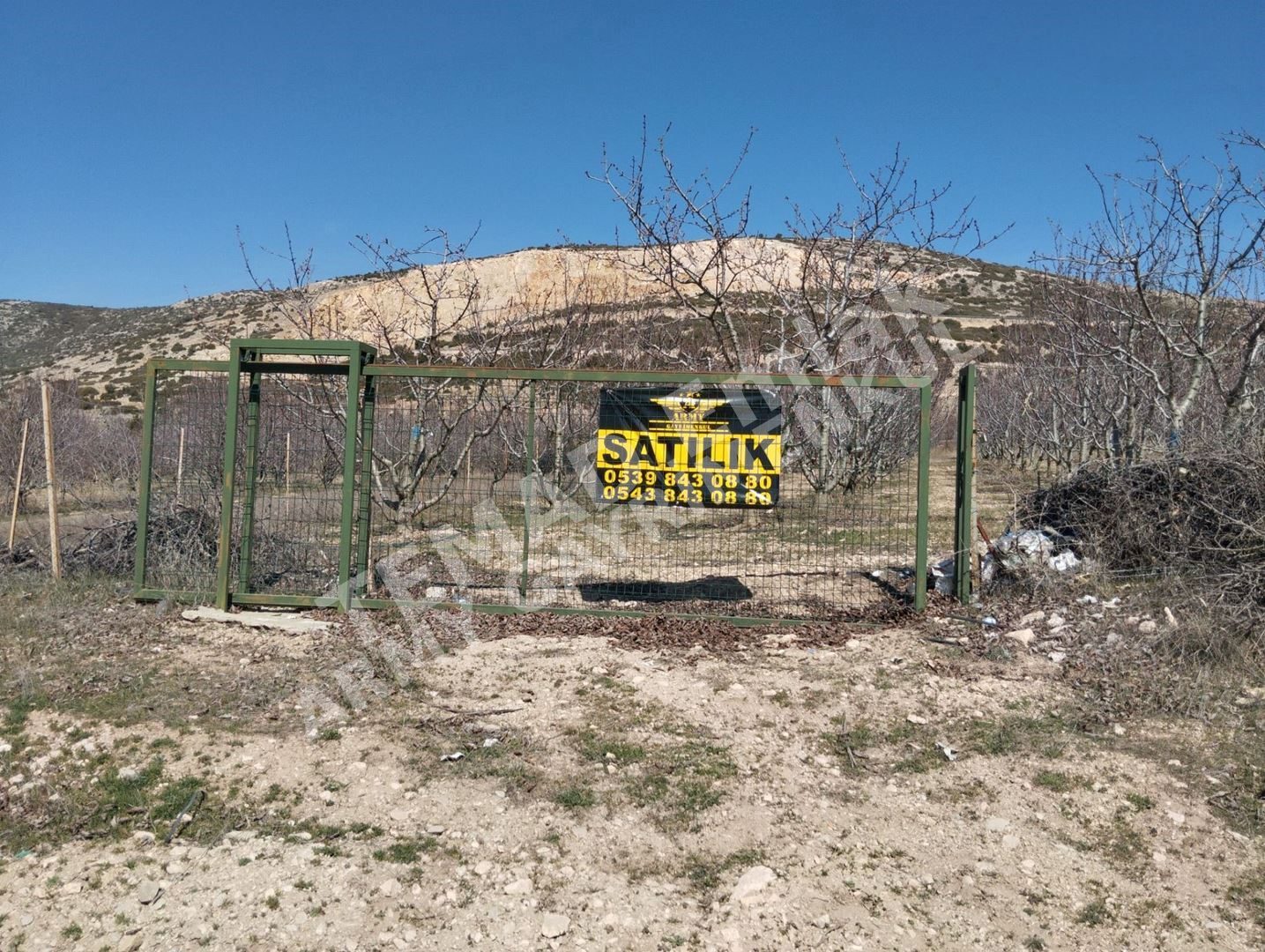 Fotoğraf