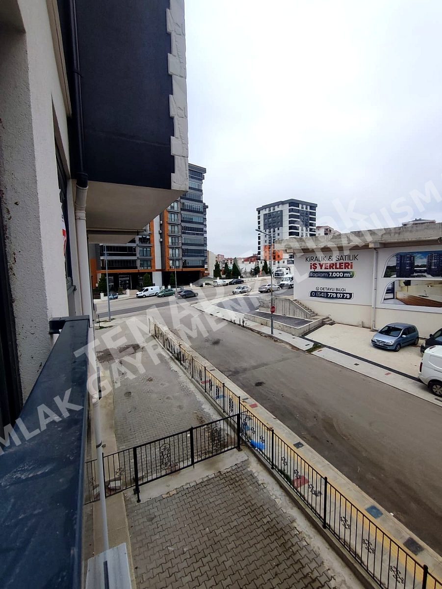 Fotoğraf