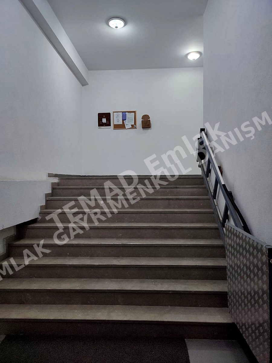 Fotoğraf