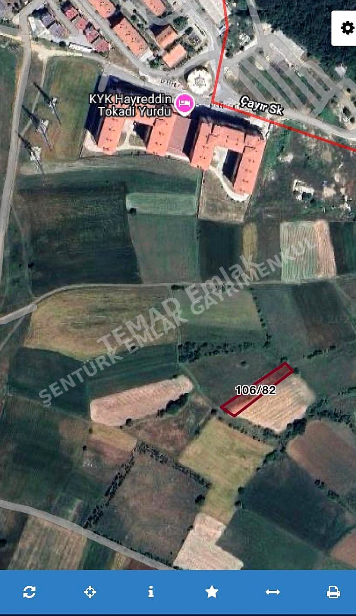 Fotoğraf