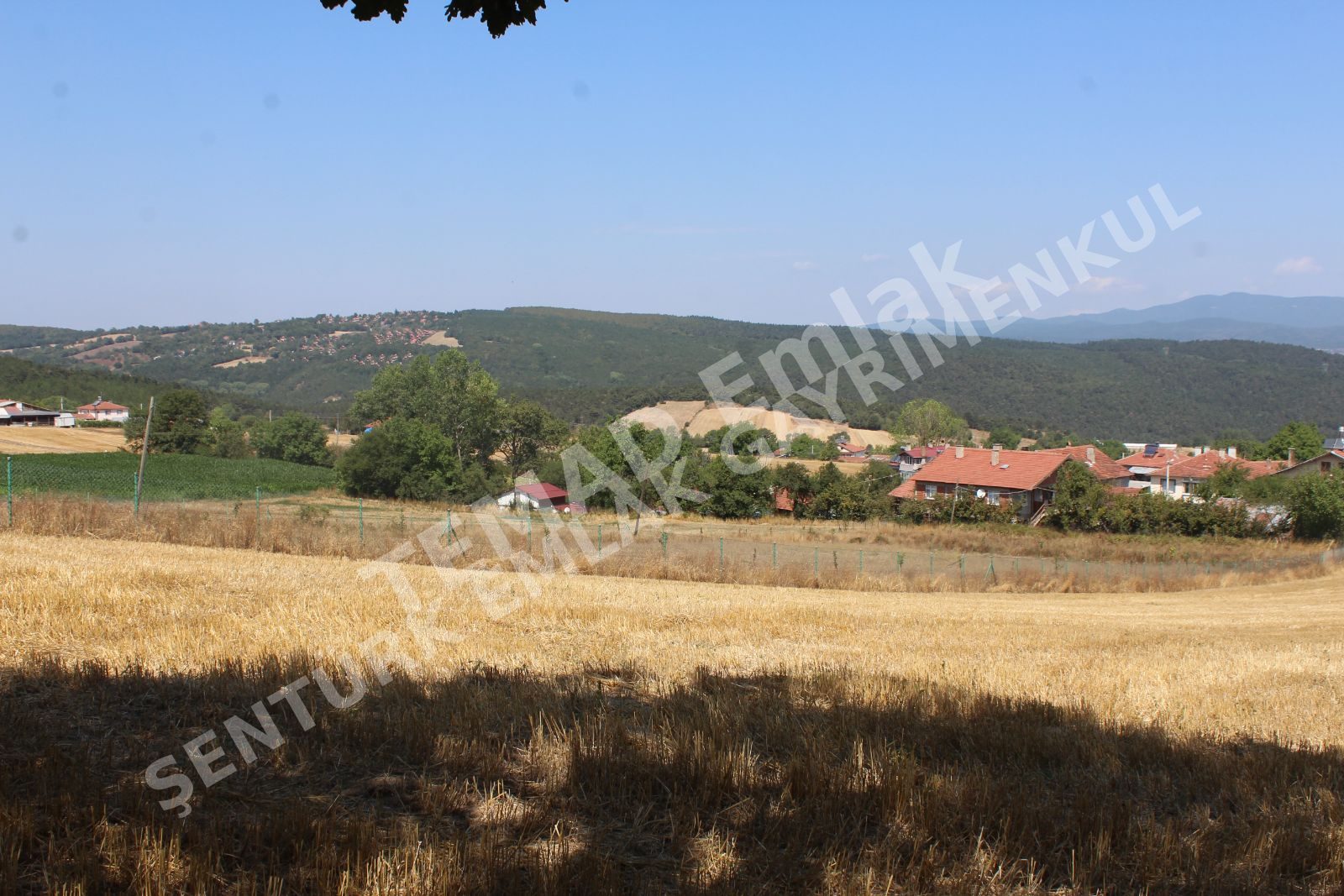 Fotoğraf
