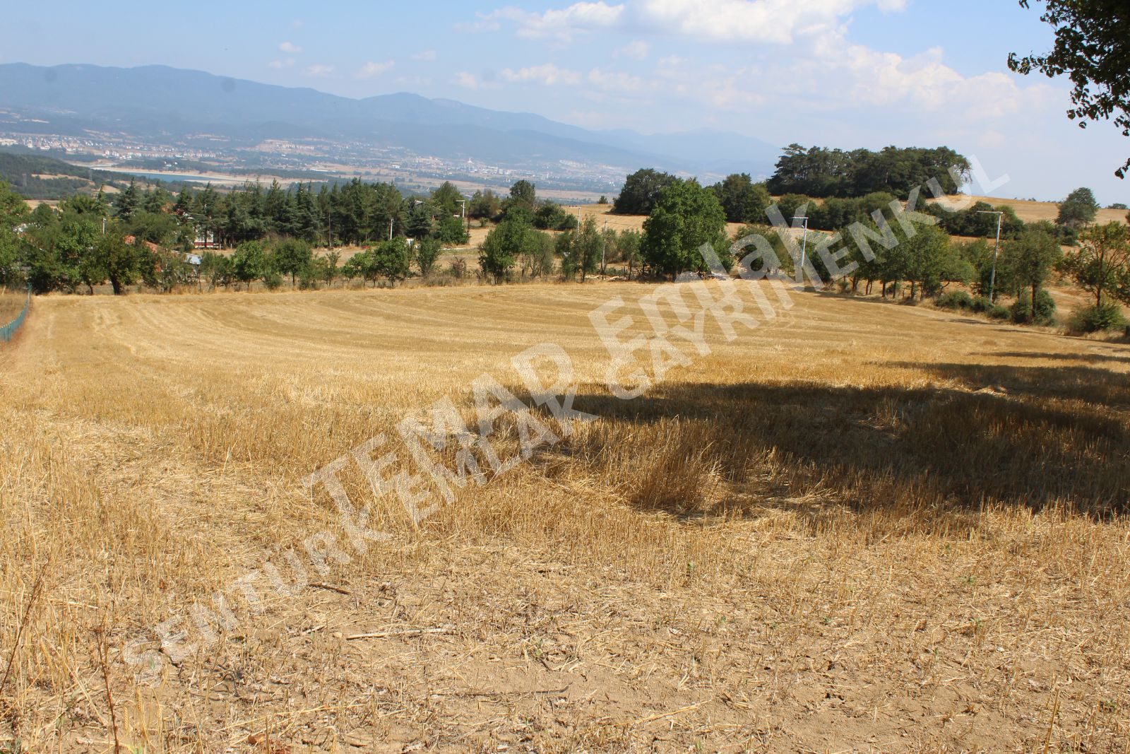 Fotoğraf