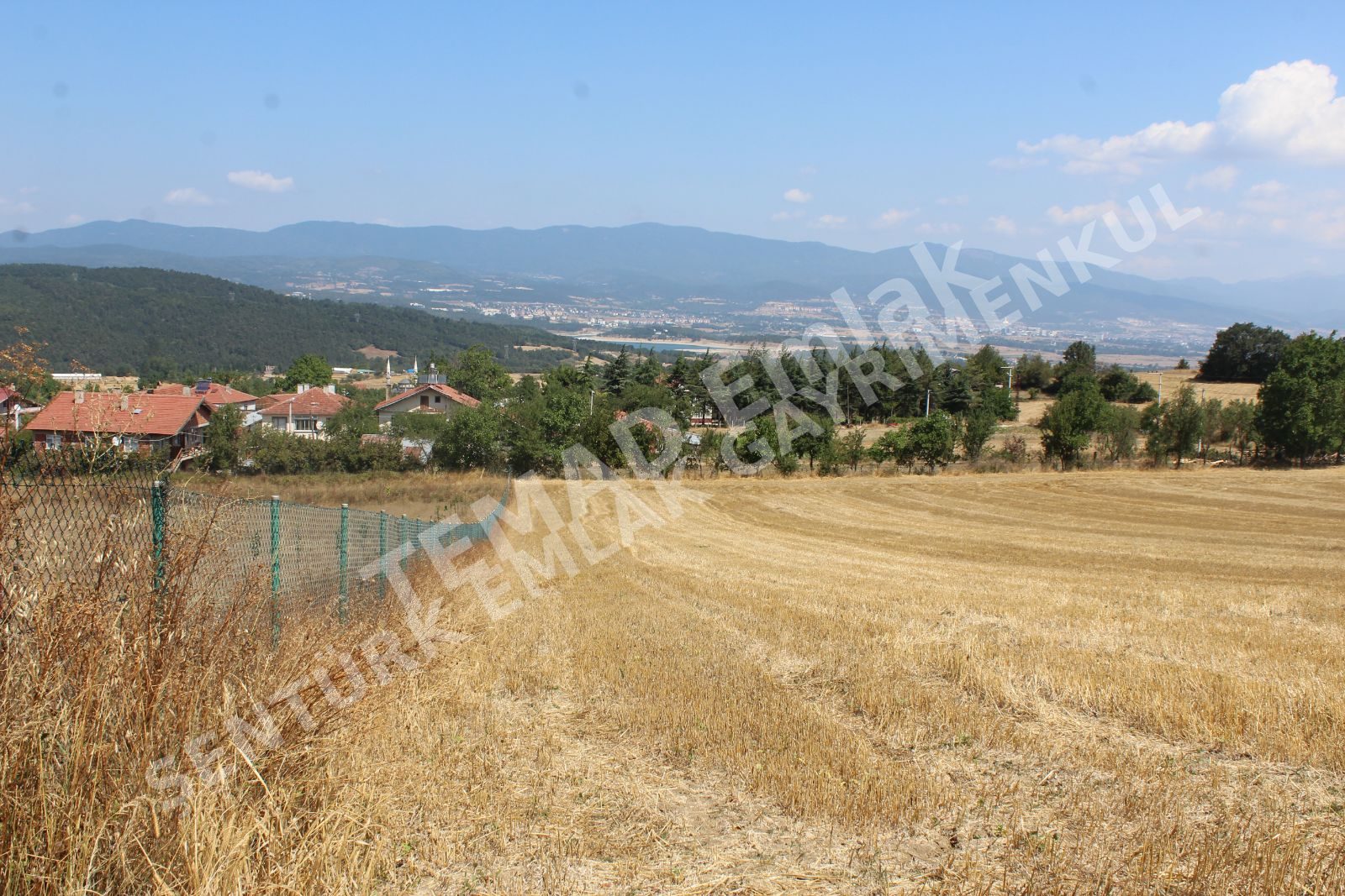 Fotoğraf