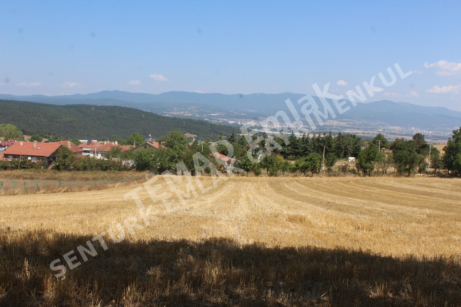 Fotoğraf