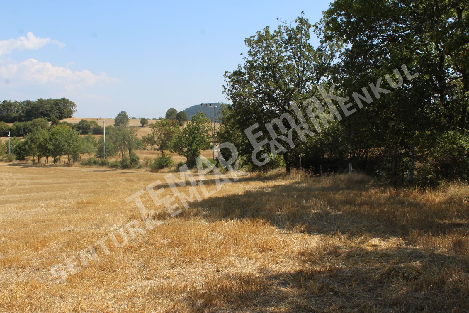Fotoğraf