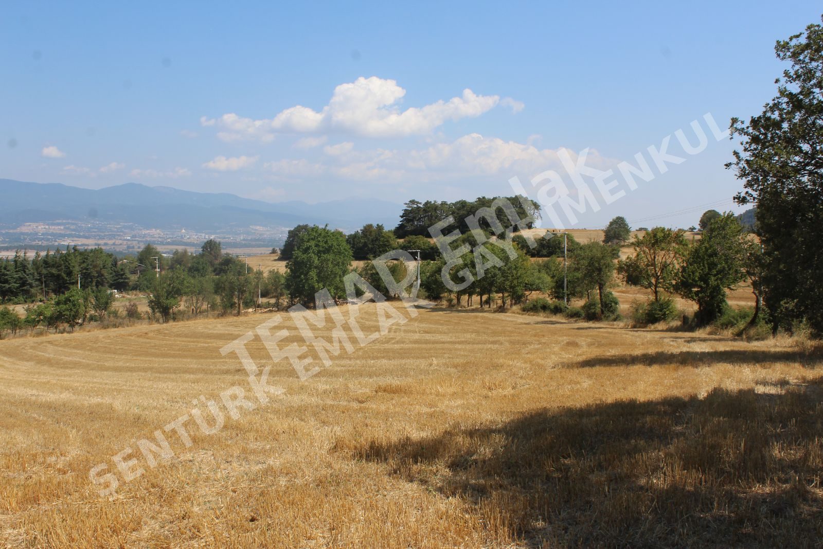 Fotoğraf