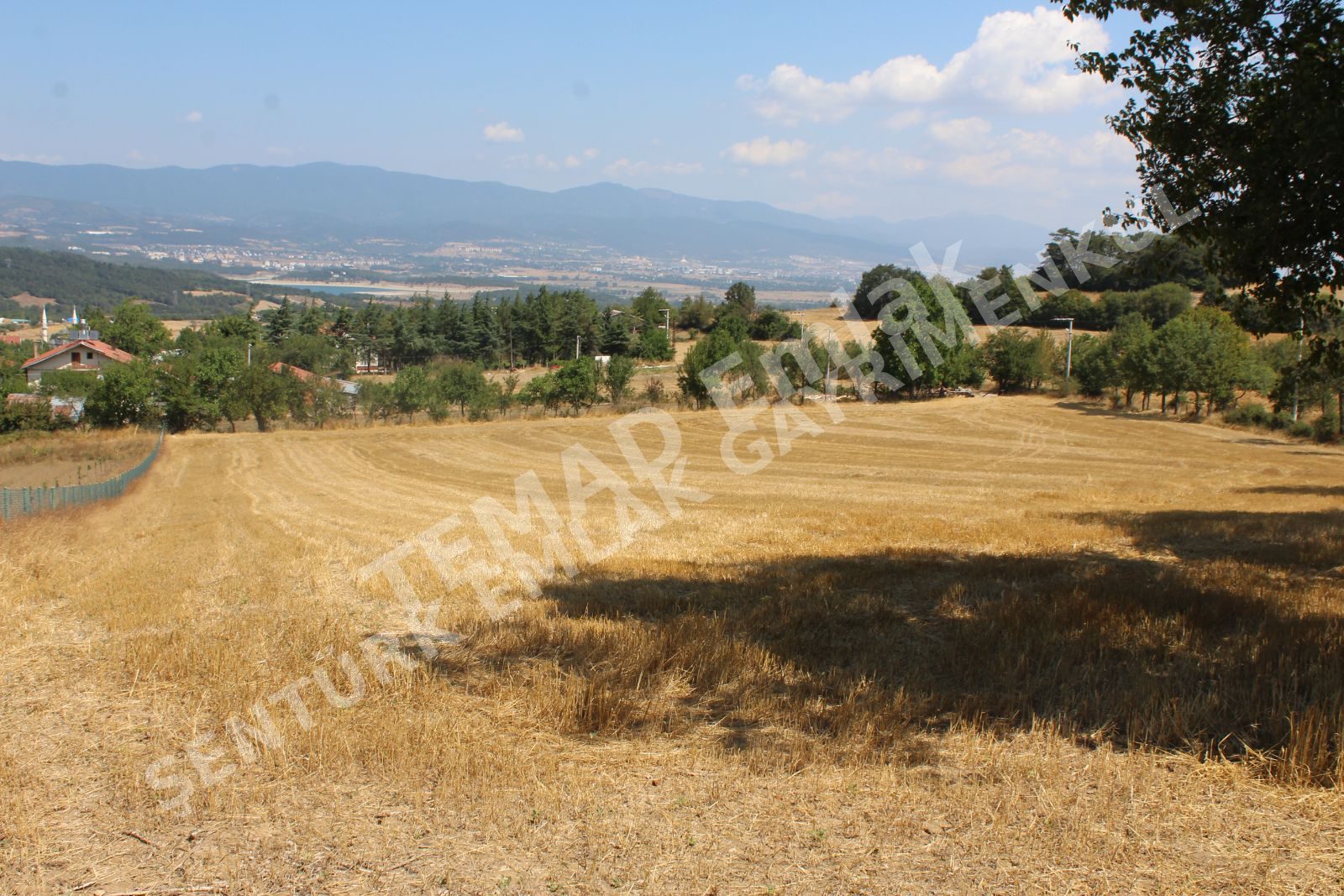 Fotoğraf