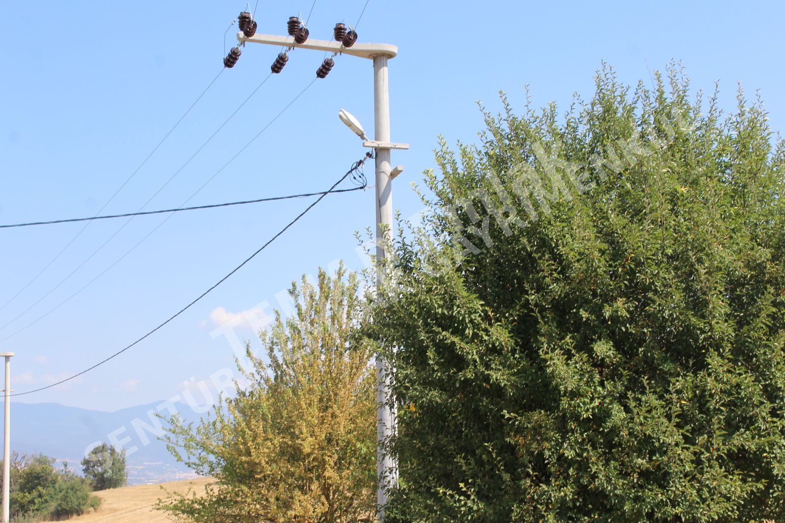 Fotoğraf
