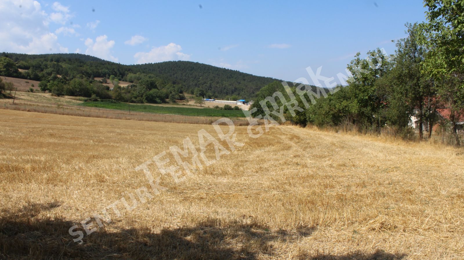Fotoğraf