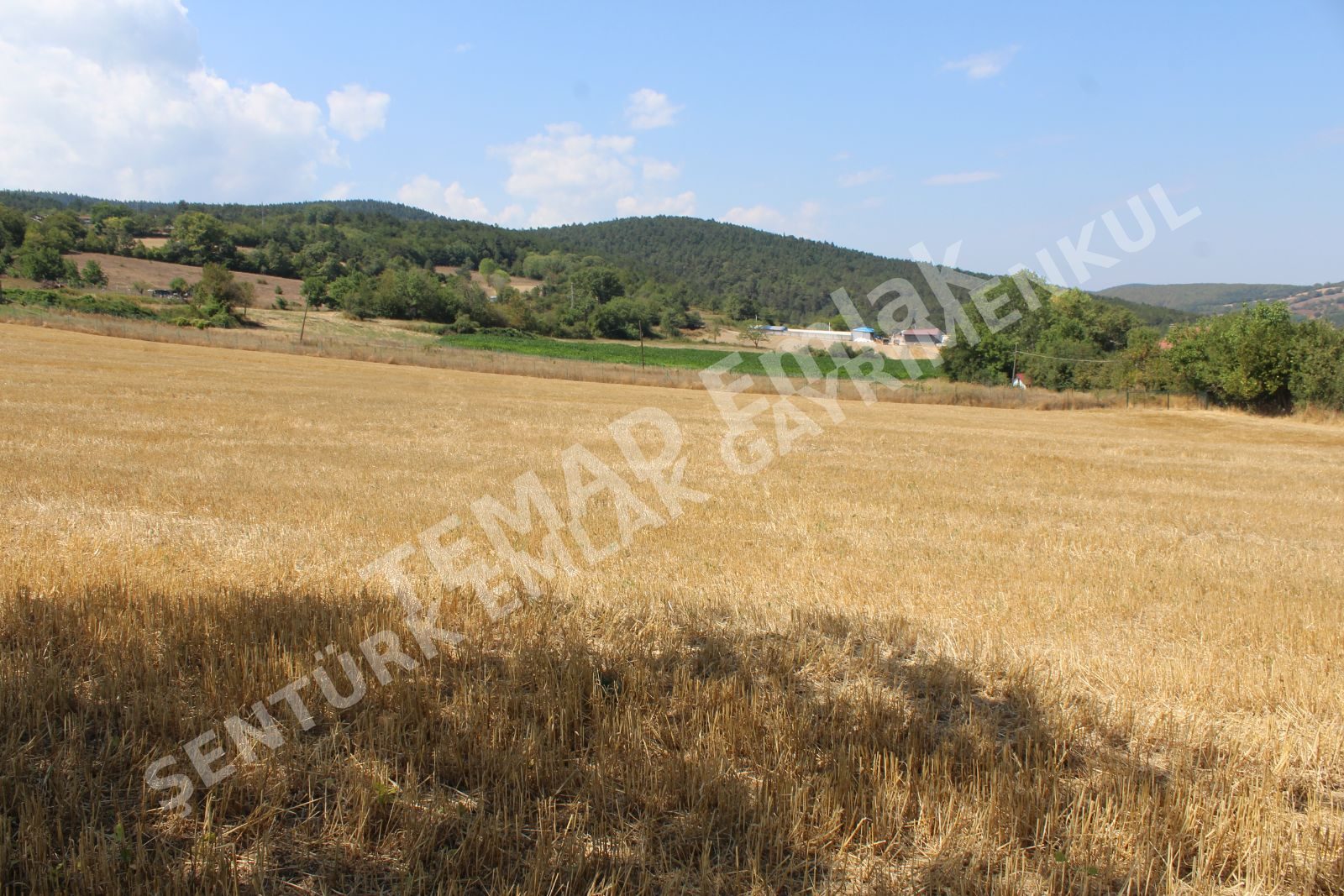 Fotoğraf