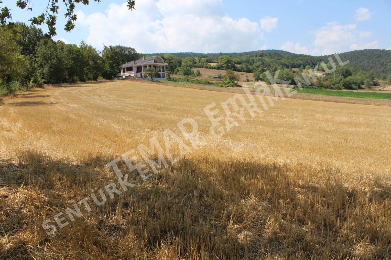 Fotoğraf