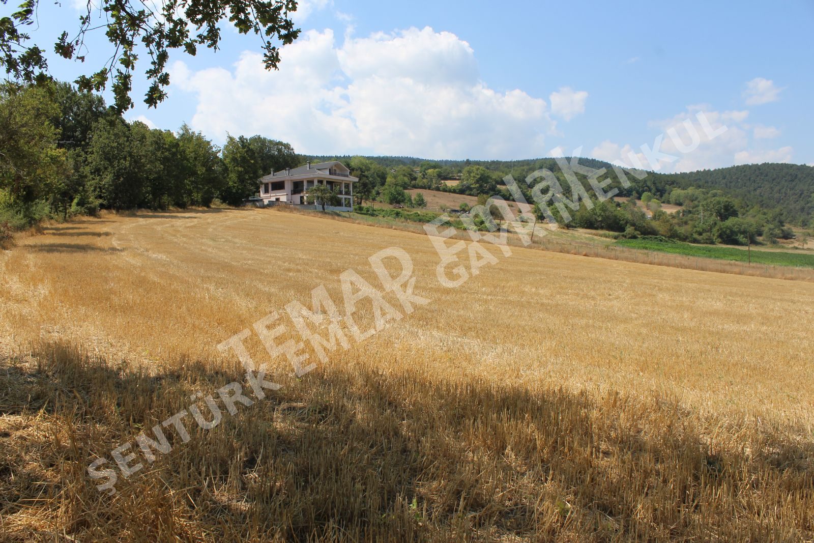 Fotoğraf