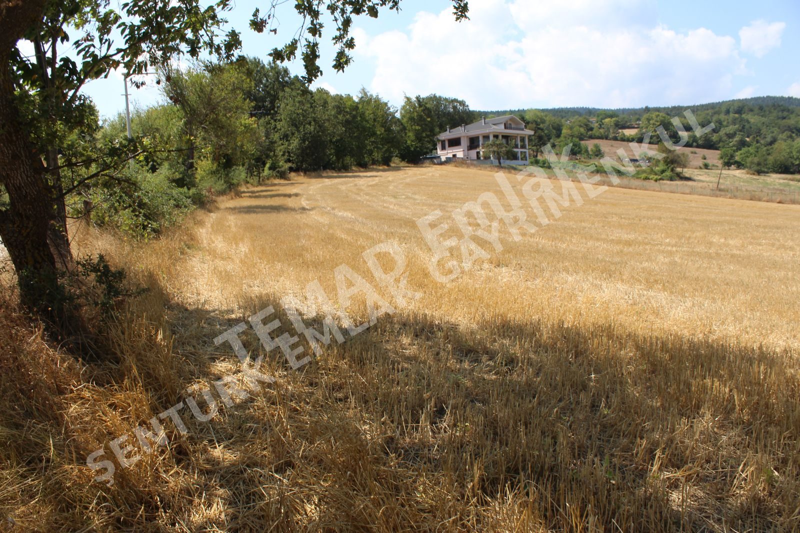 Fotoğraf