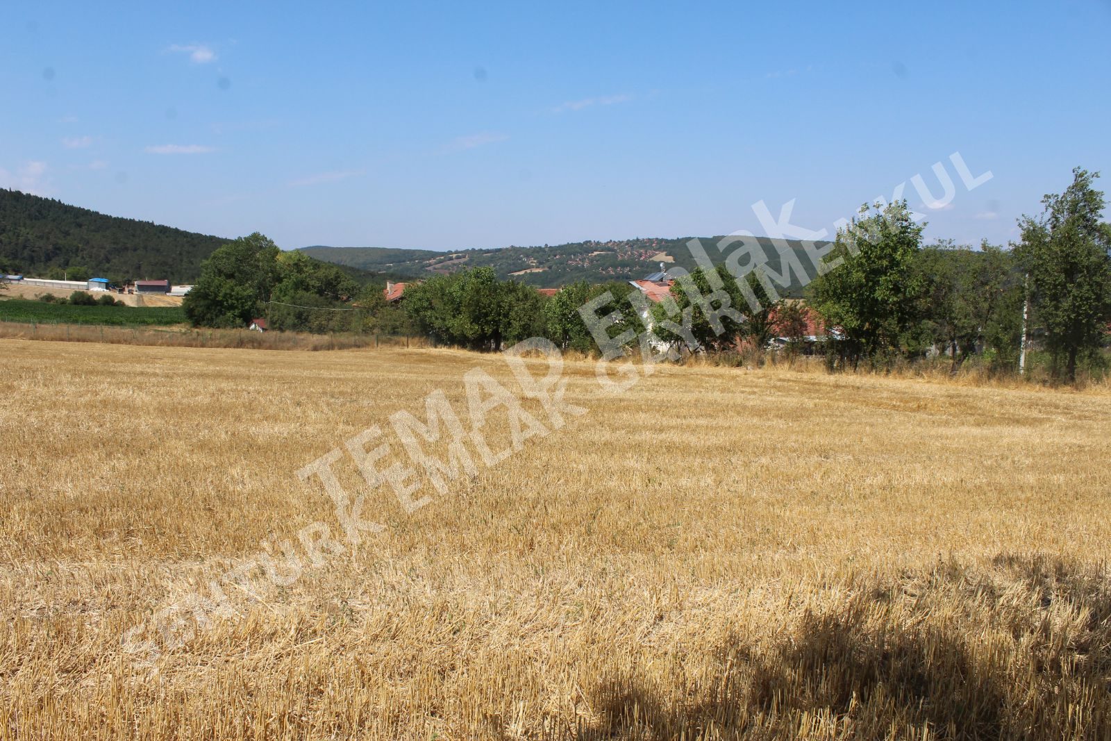 Fotoğraf
