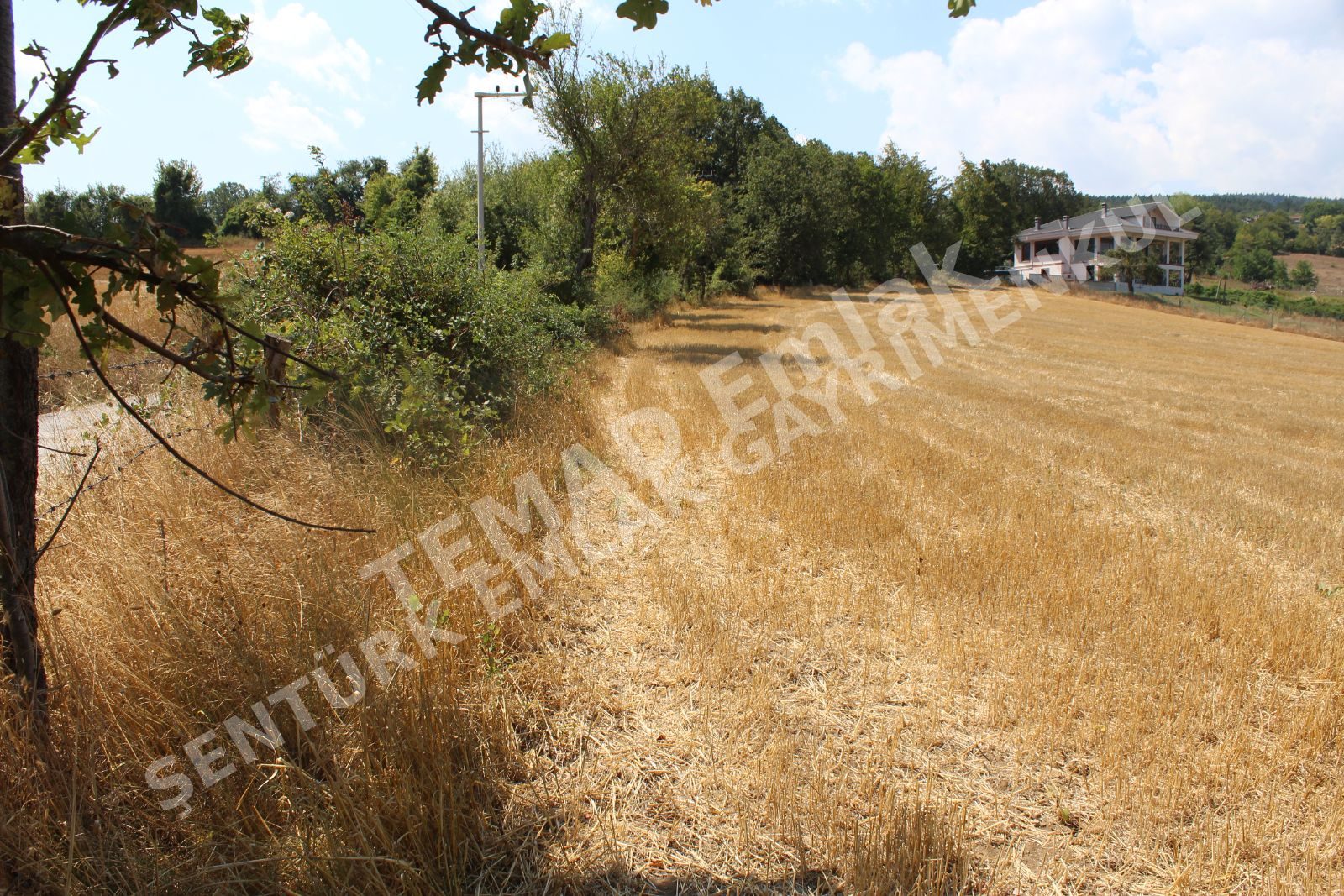 Fotoğraf