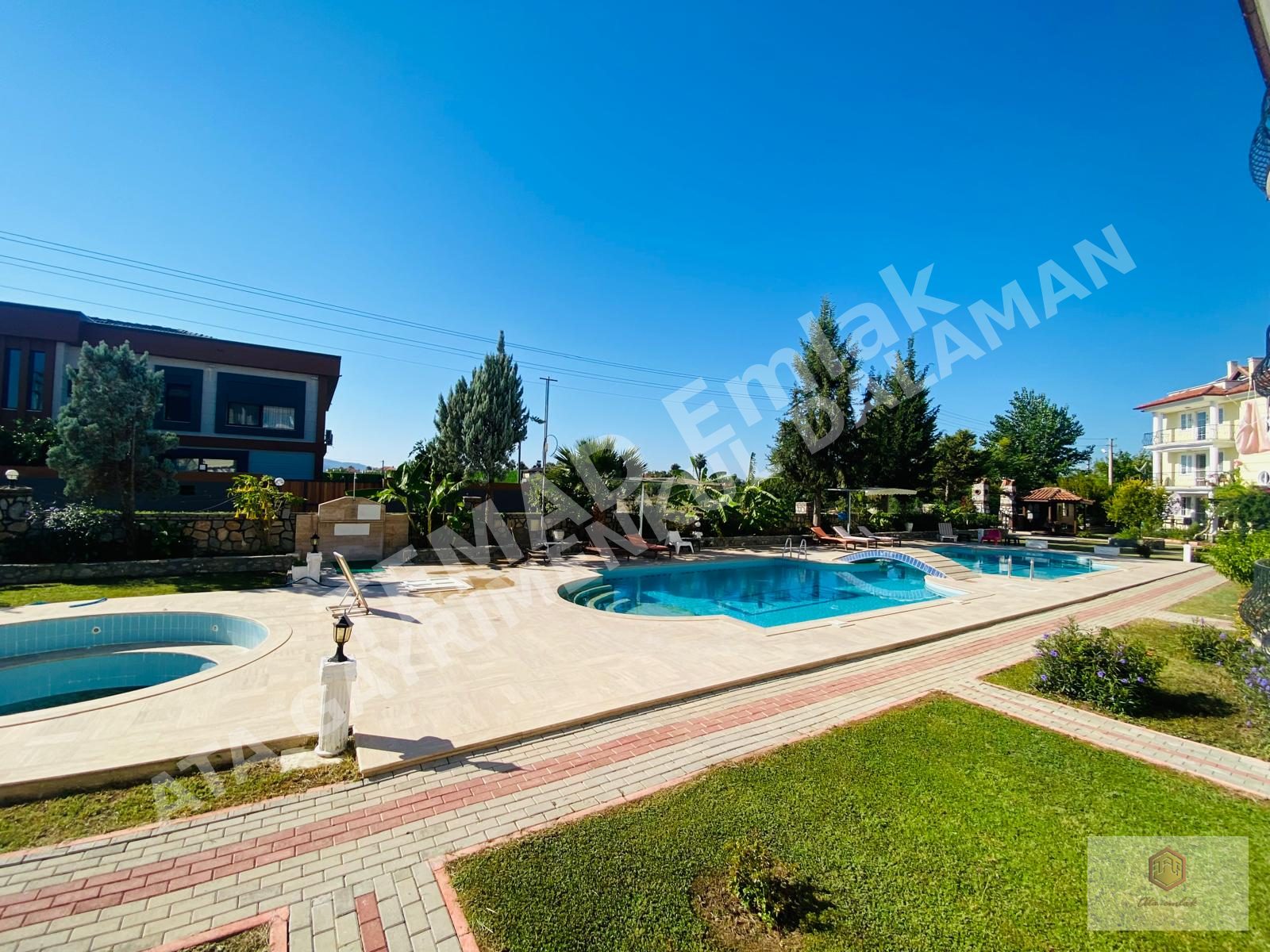 Fotoğraf