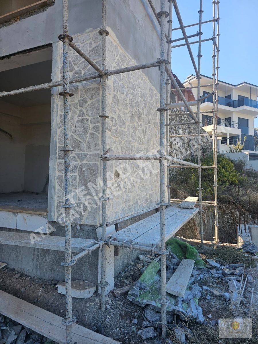 Fotoğraf