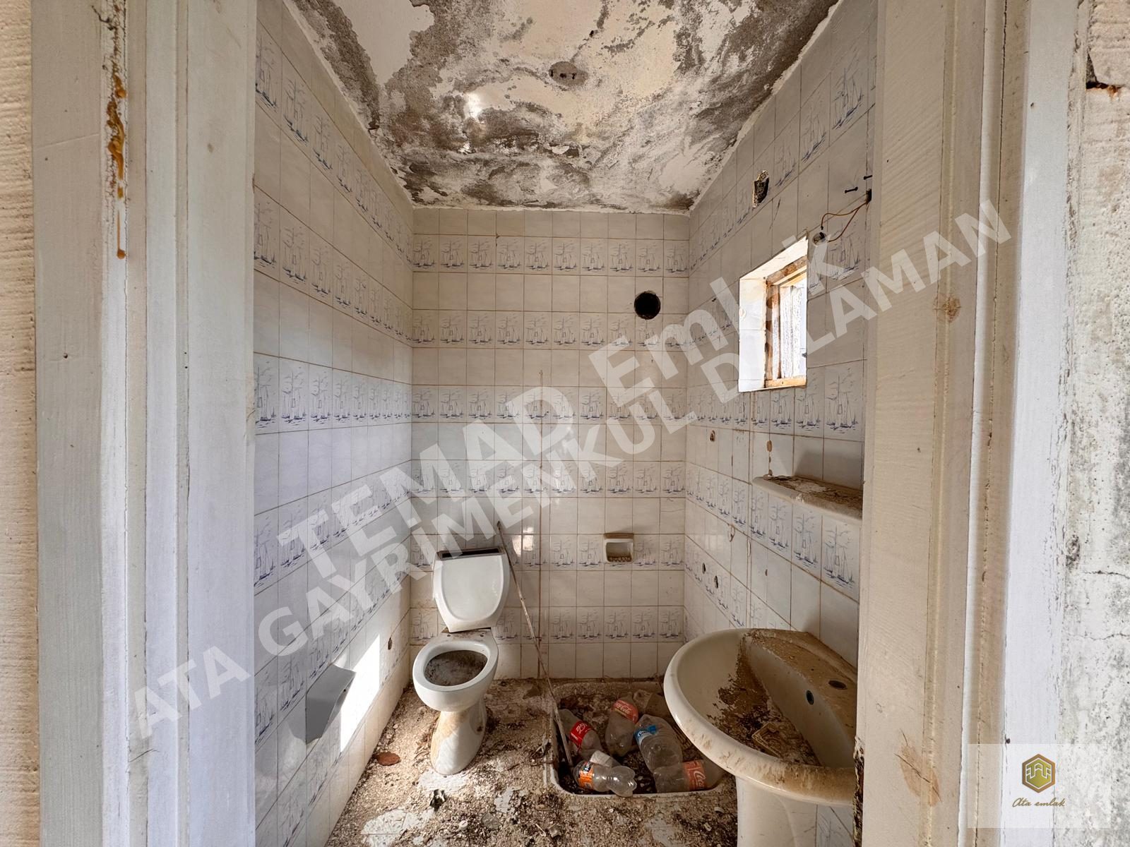 Fotoğraf