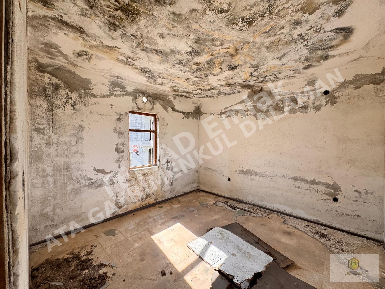 Fotoğraf