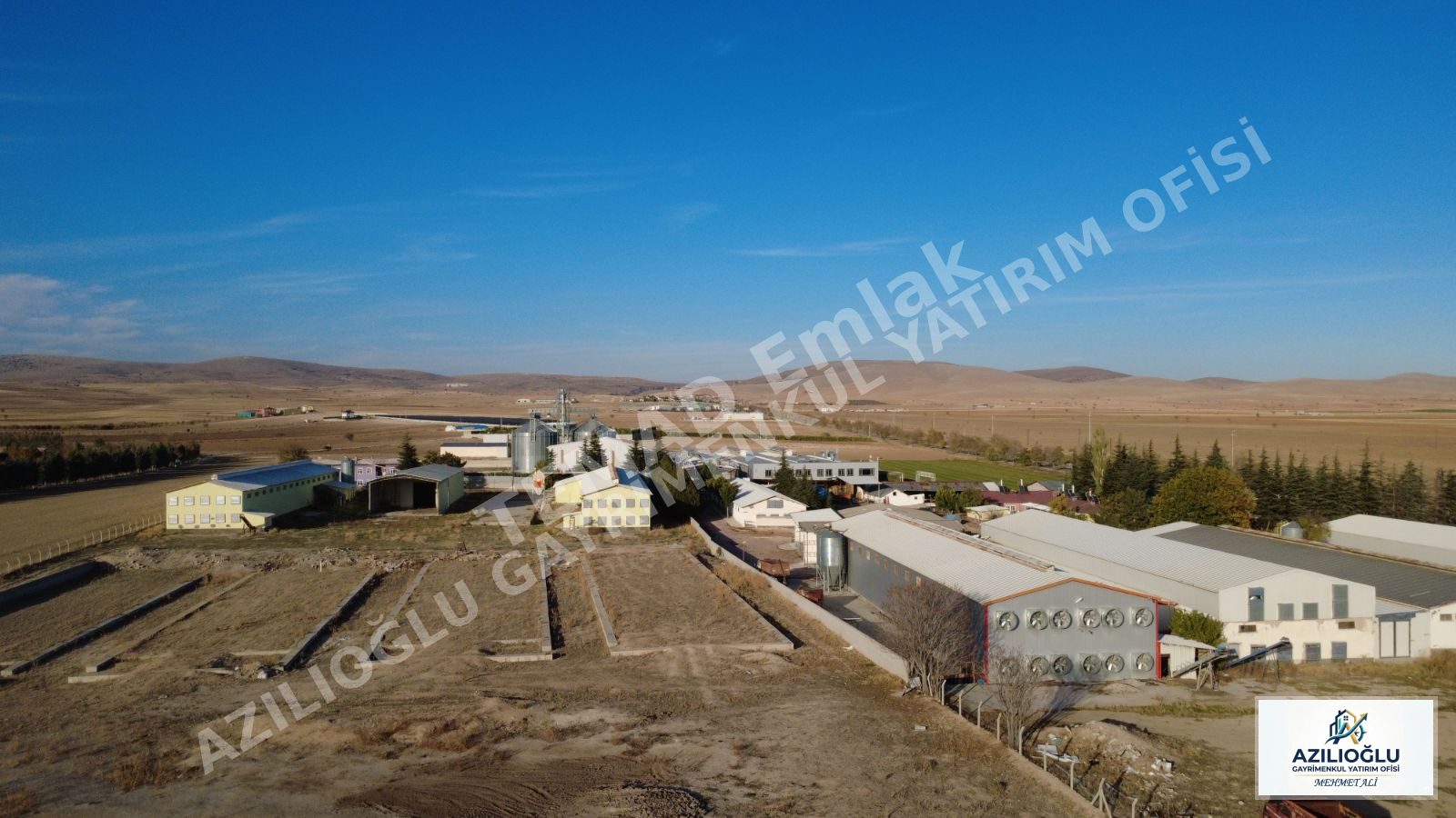 Fotoğraf