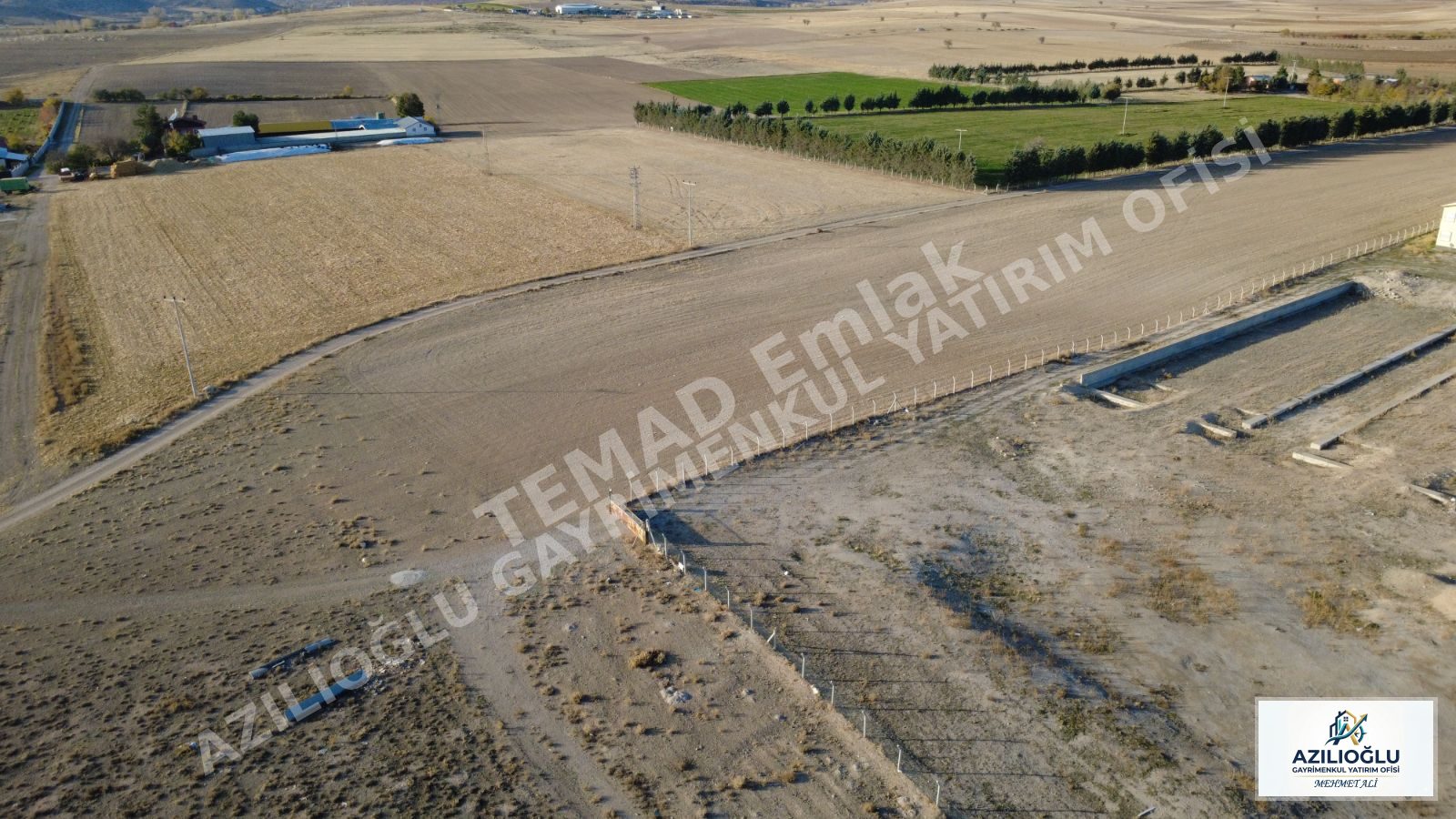 Fotoğraf