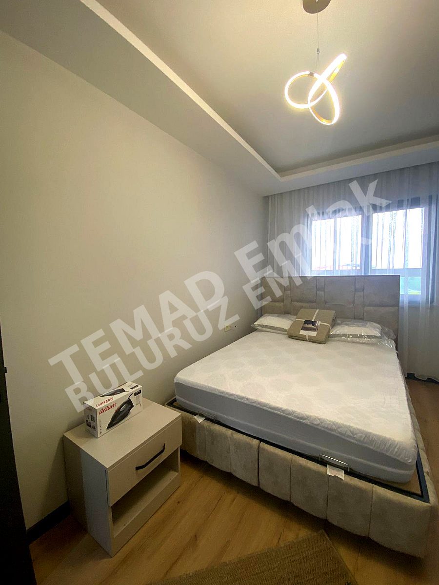 Fotoğraf