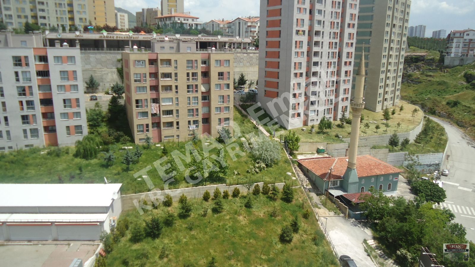 Fotoğraf