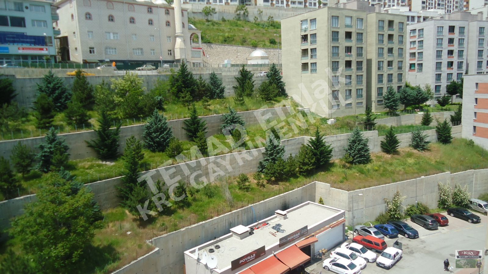 Fotoğraf