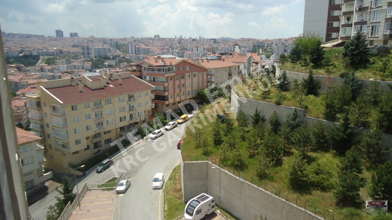 Fotoğraf