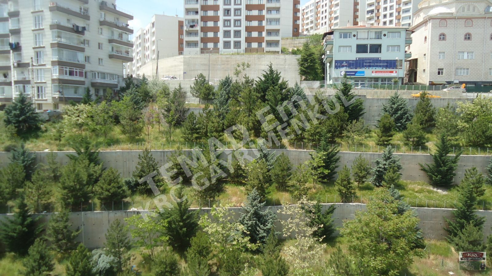 Fotoğraf