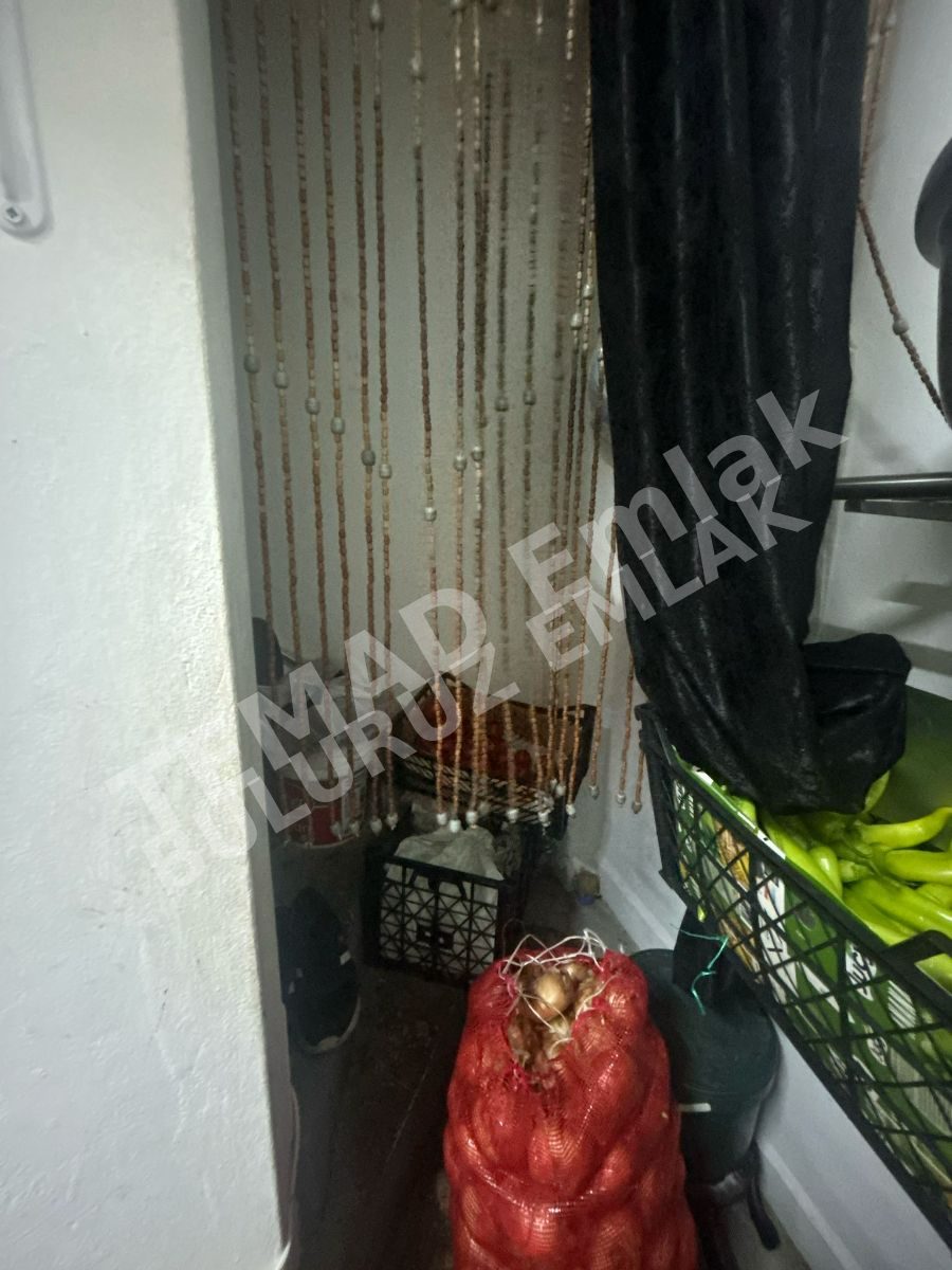 Fotoğraf