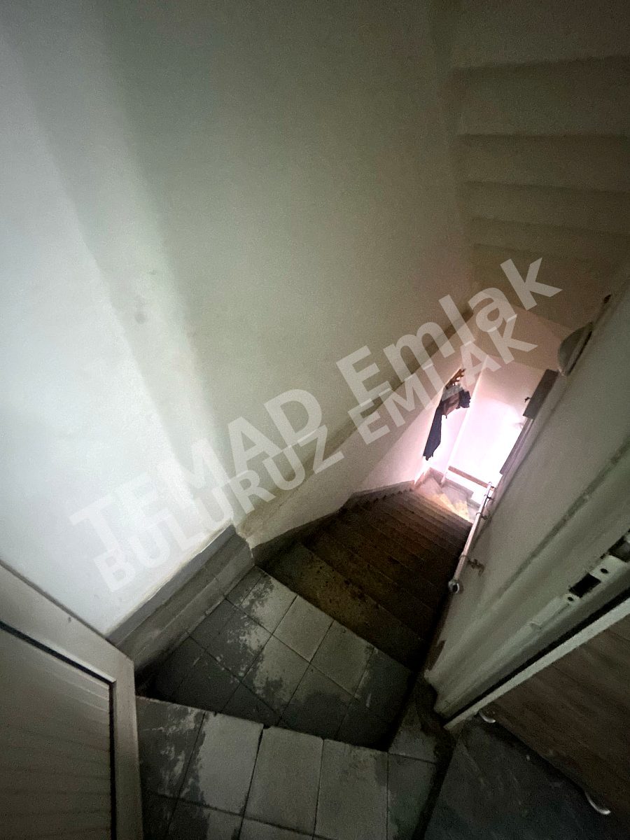 Fotoğraf