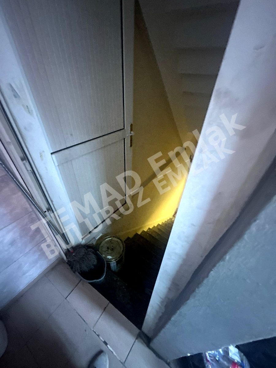Fotoğraf