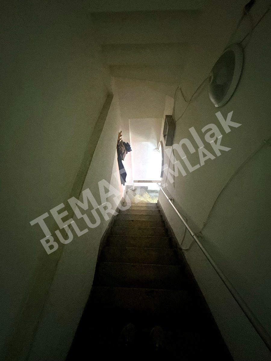 Fotoğraf