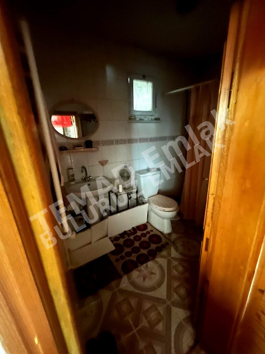 Fotoğraf