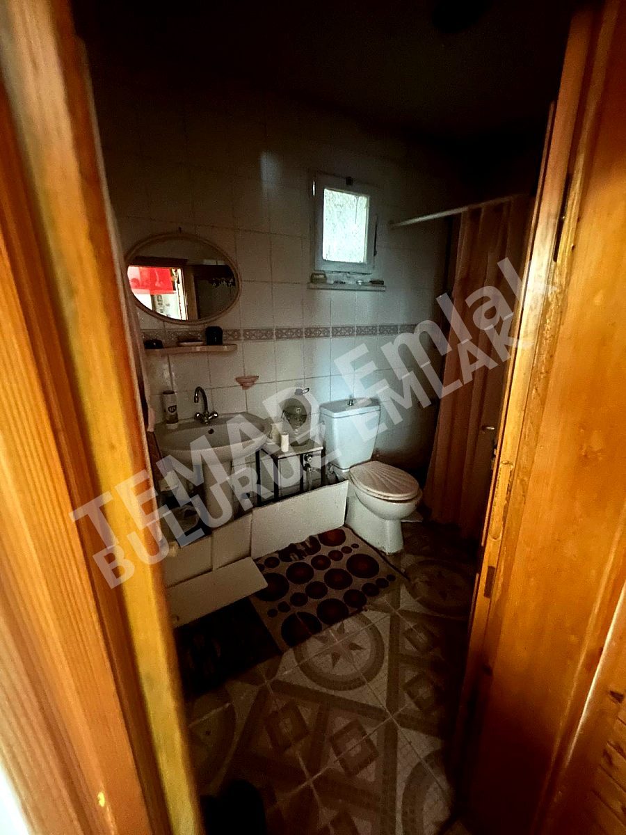 Fotoğraf