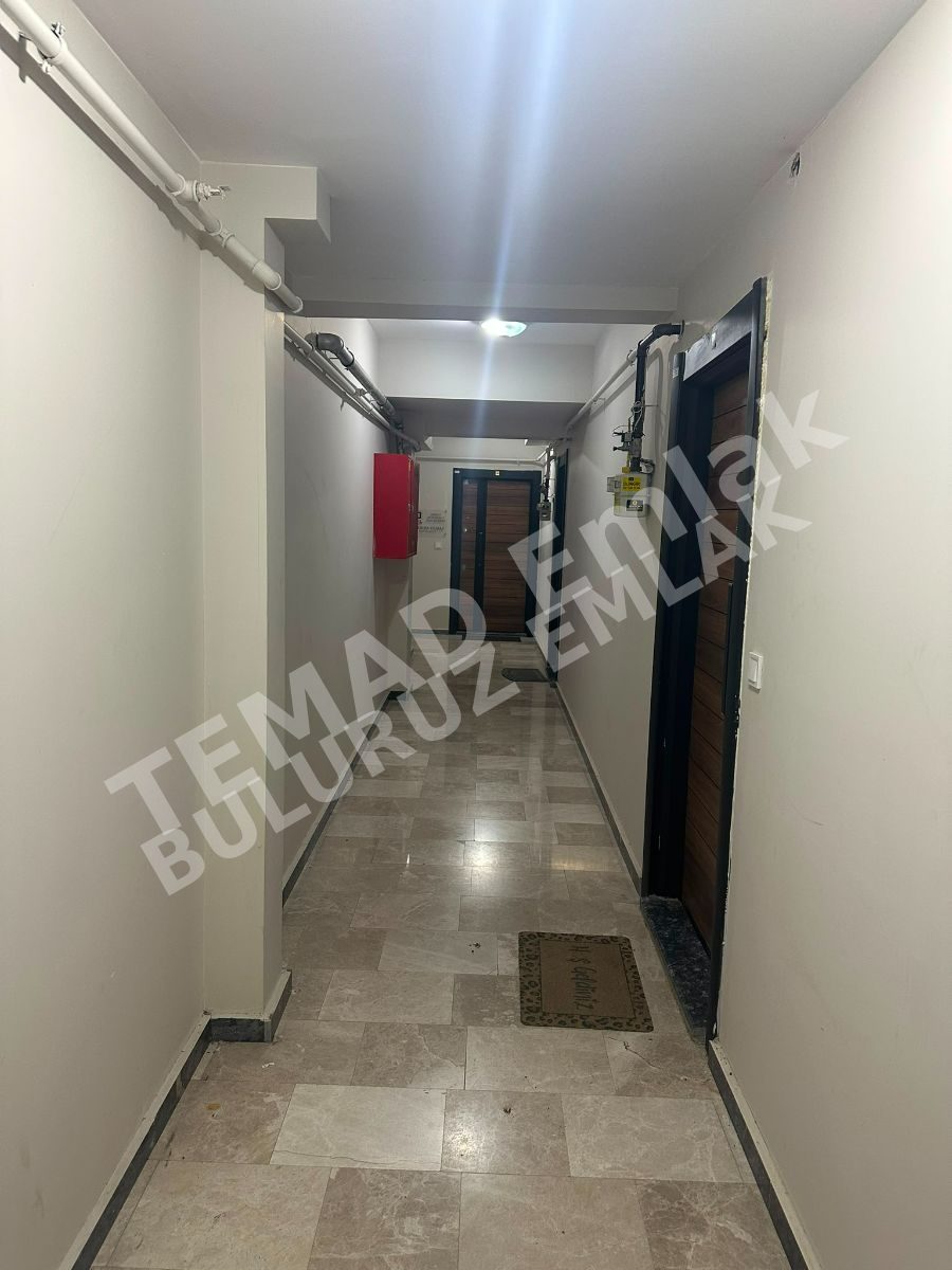 Fotoğraf