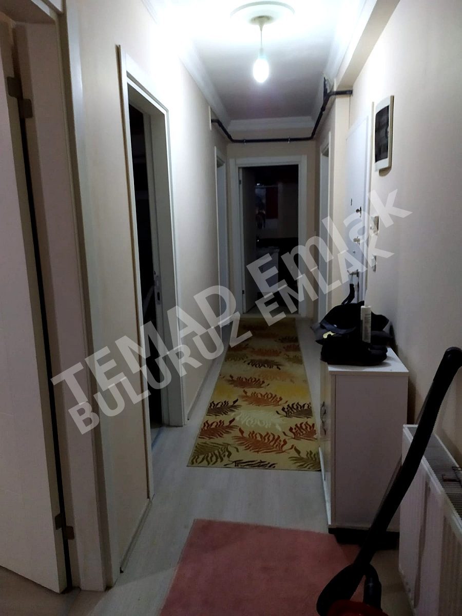 Fotoğraf
