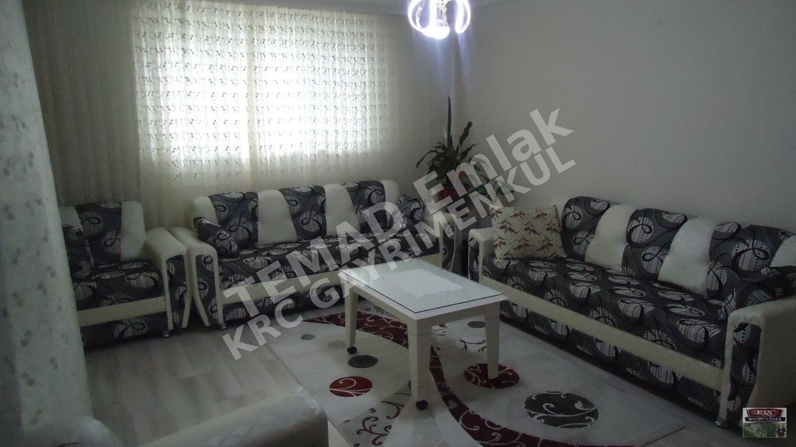 Fotoğraf
