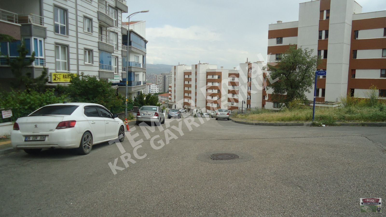 Fotoğraf