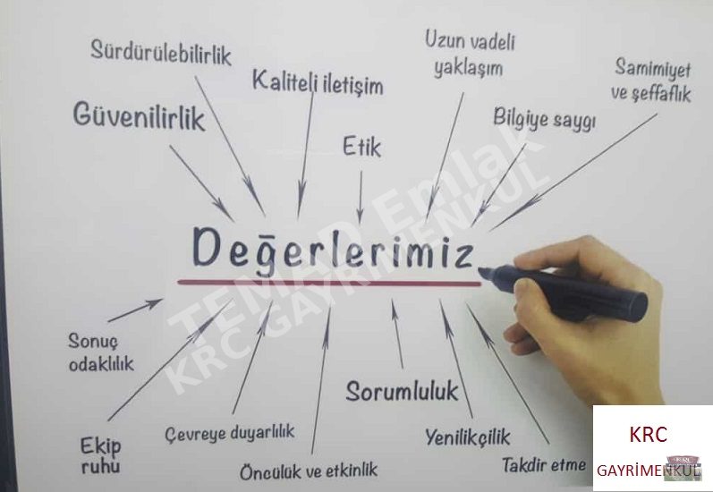 Fotoğraf