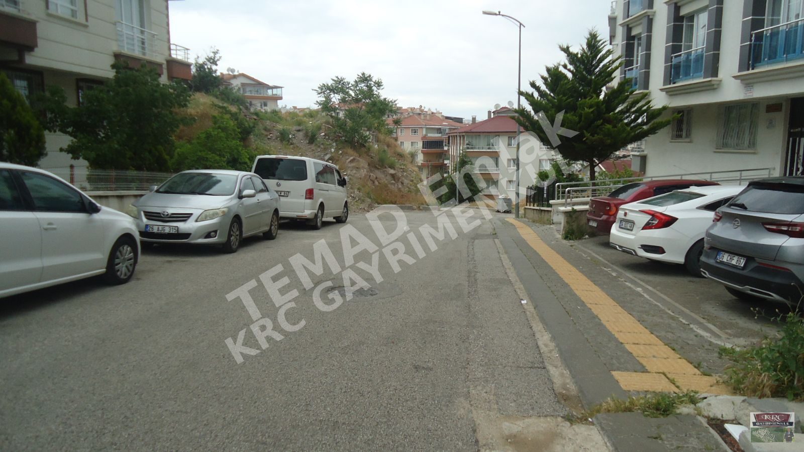 Fotoğraf