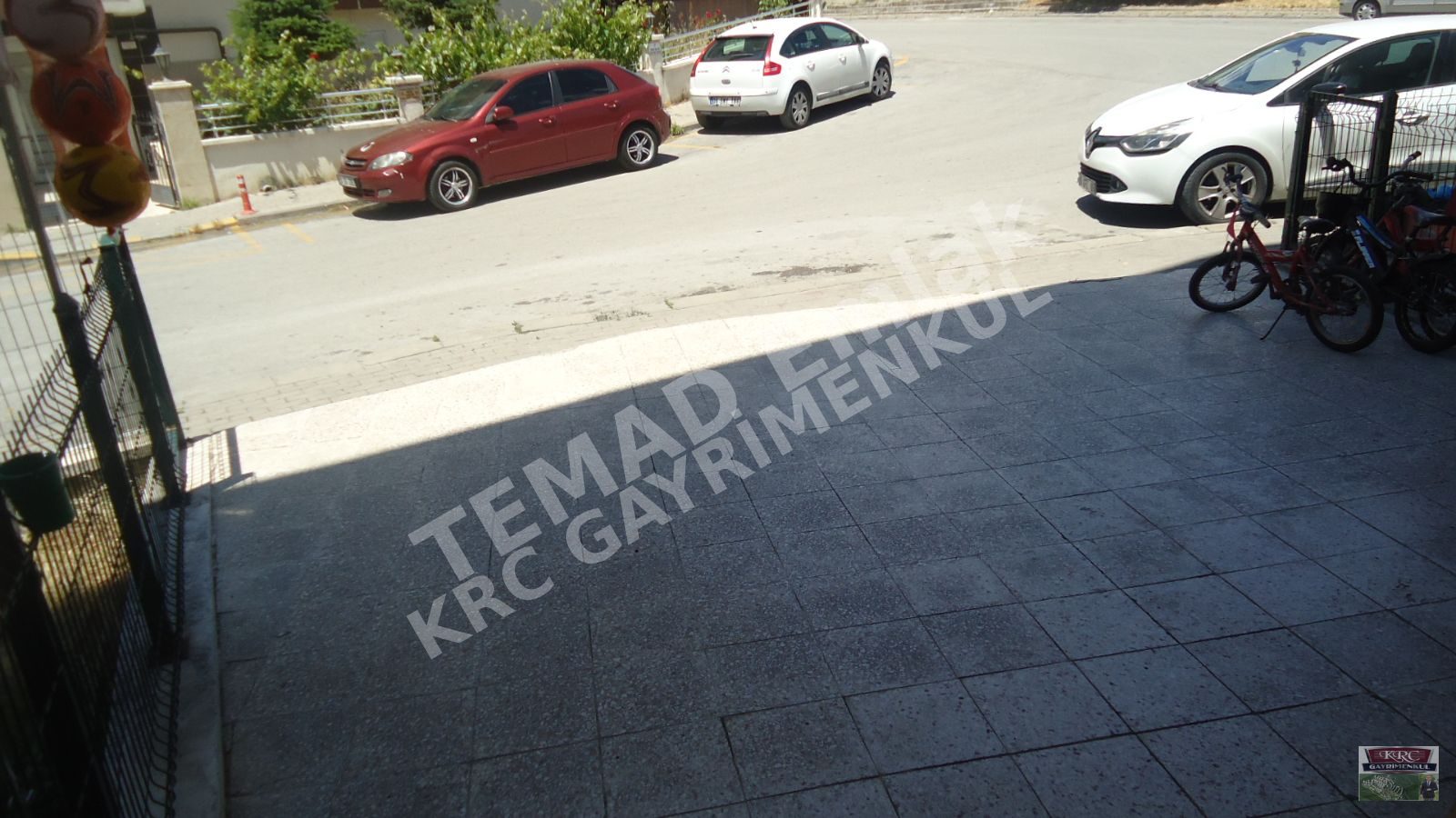 Fotoğraf