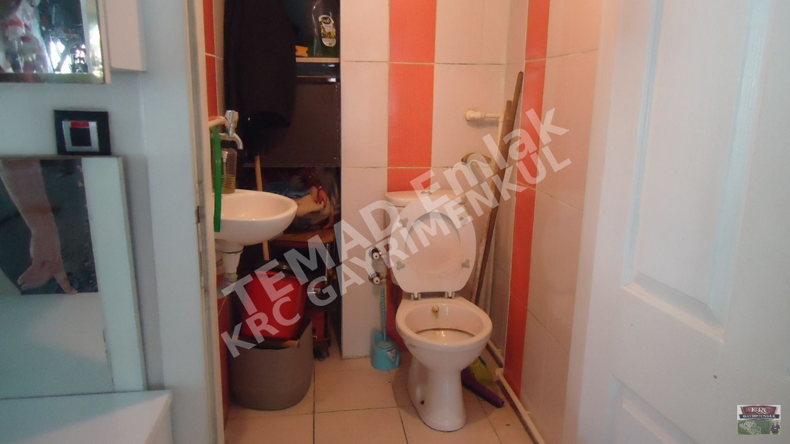 Fotoğraf