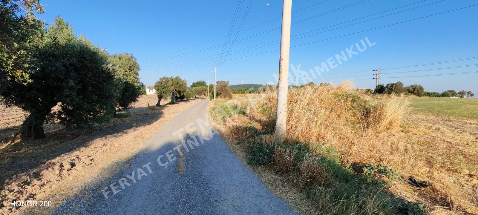 Fotoğraf