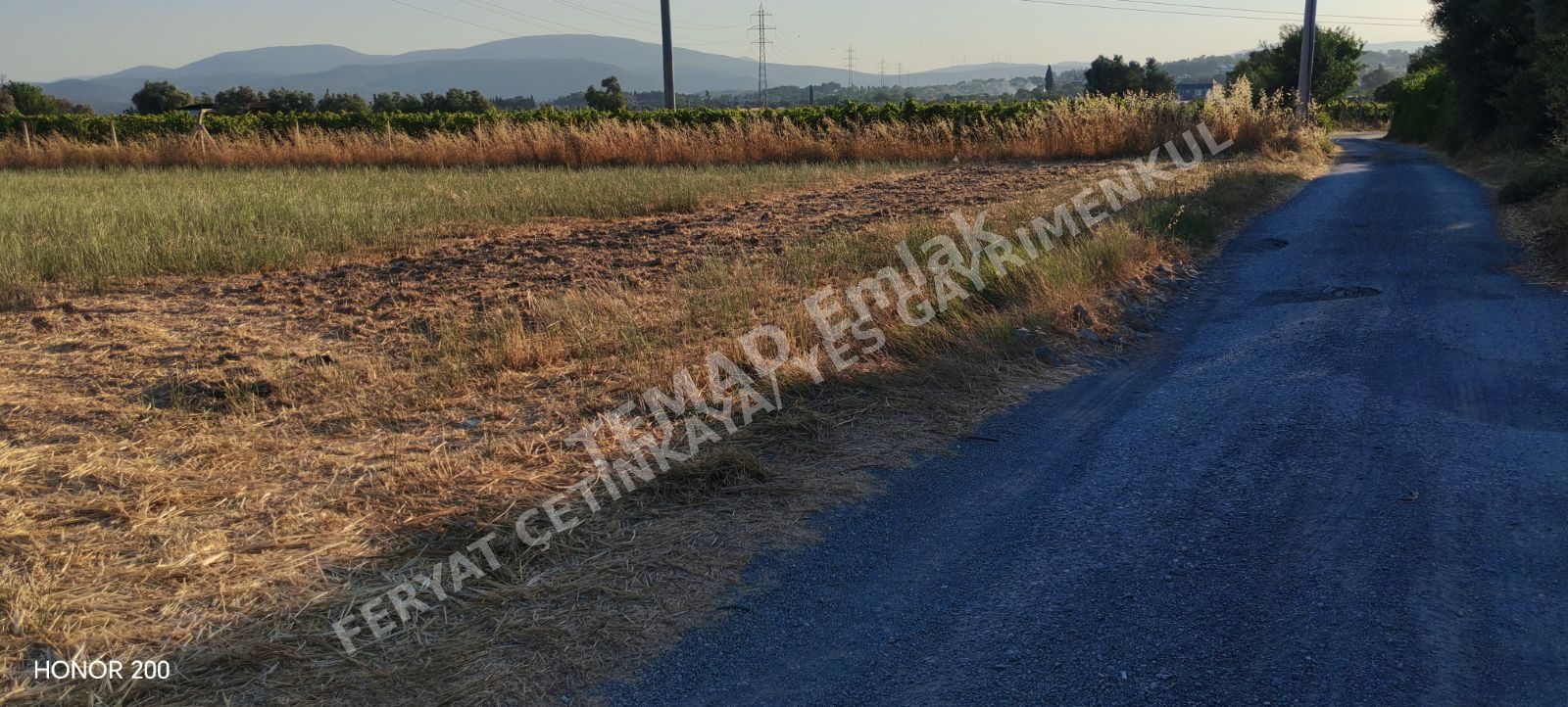 Fotoğraf